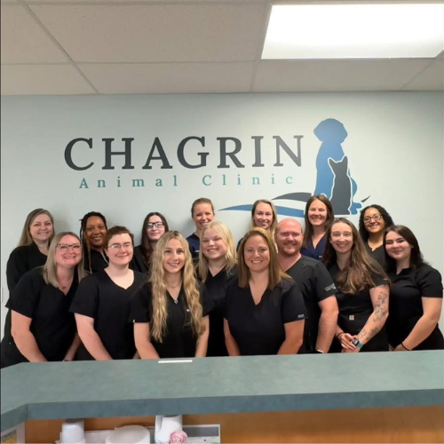 Chagrin Animal Clinic Team